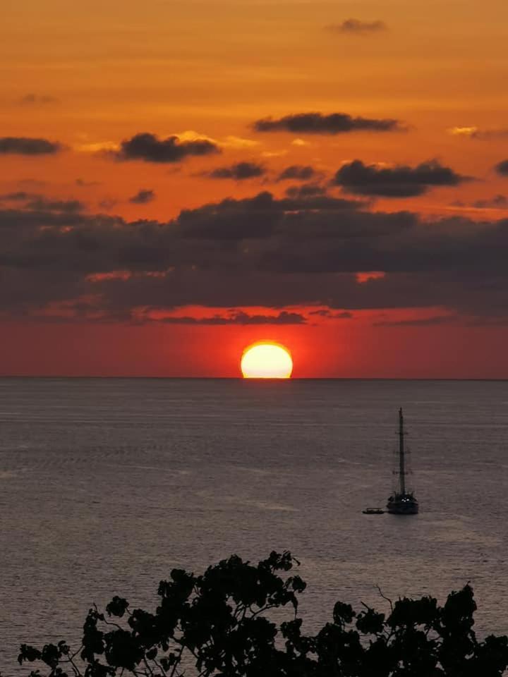Villa Manolo Ocean And Forest View Hotel Drake Bay Exterior photo